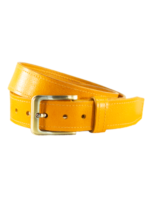 Яркий ремень